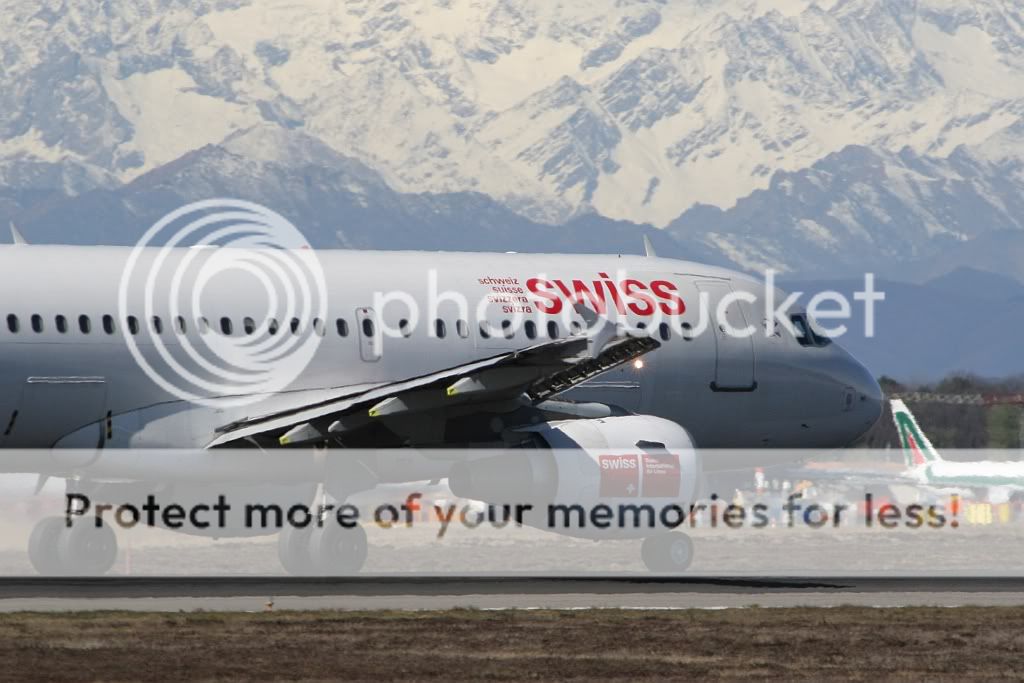 IMG_5013.jpg