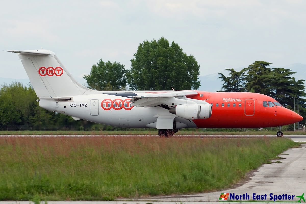 OO-TAZ_16-04-11_TSF.jpg