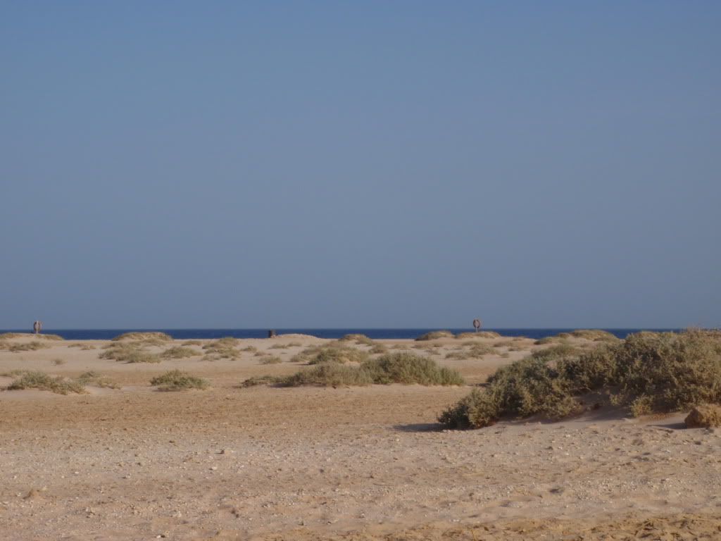 P4020114.jpg