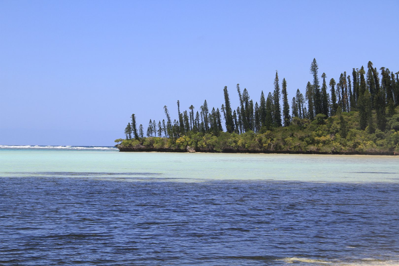 ILP39.jpg