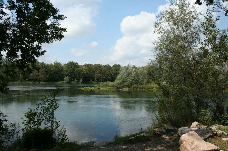 200608260173bisnt5.jpg