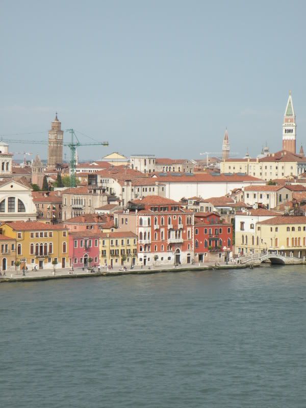 DSCN8600.jpg