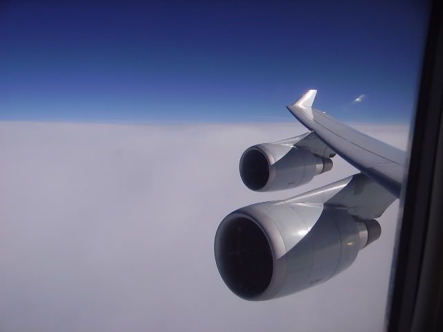 IMGP0606.jpg