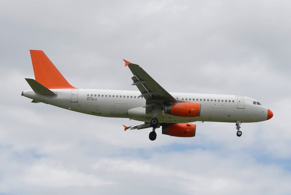 CopiadiDSC_5093-1.jpg
