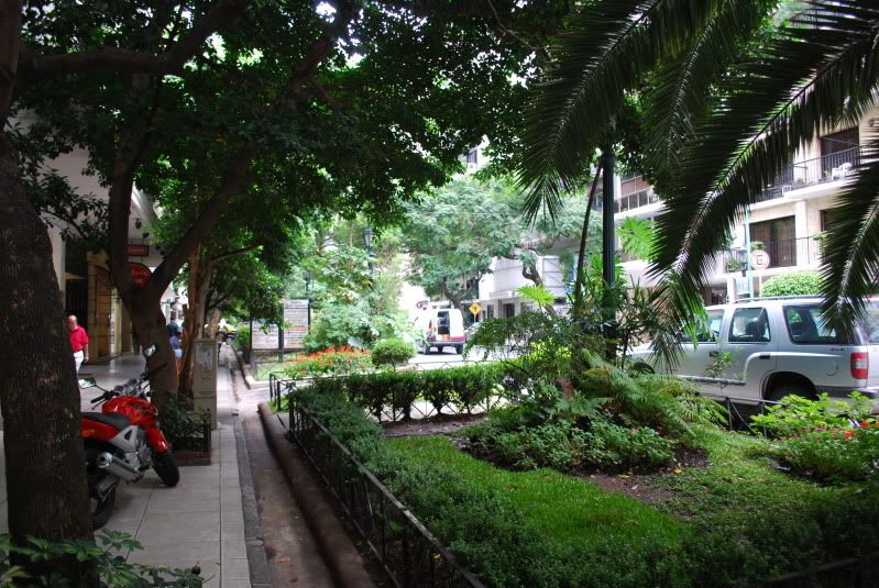 DSC_6661.jpg