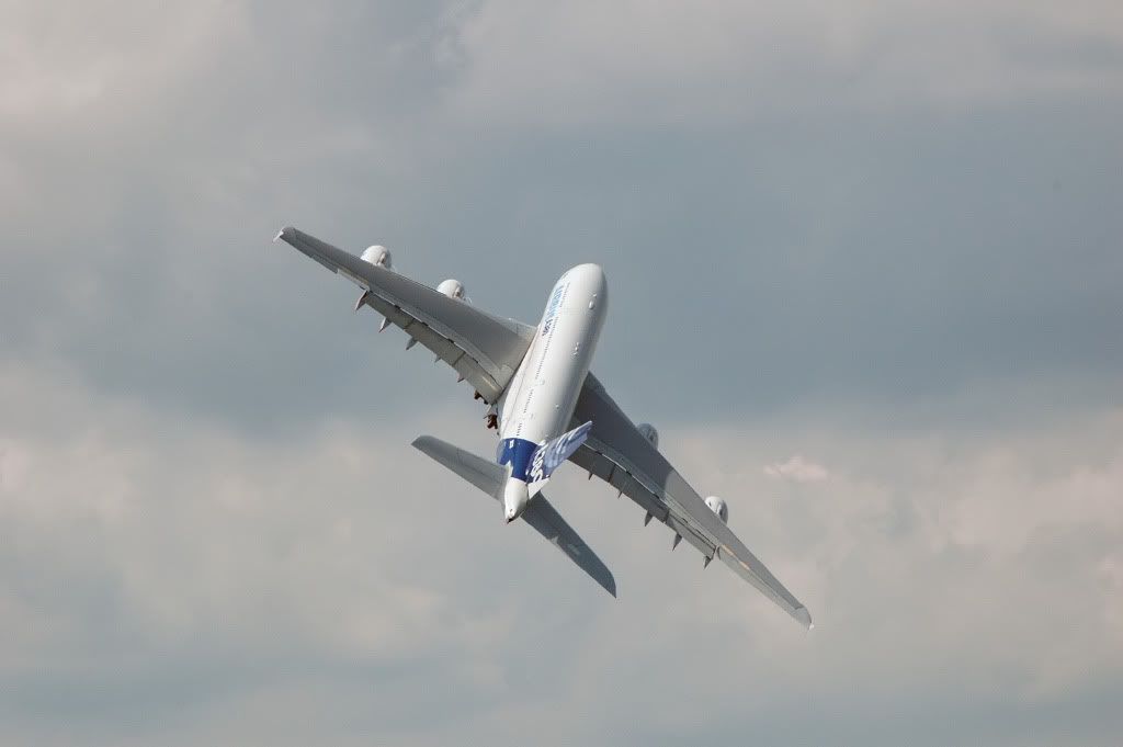 rDSC_9829.jpg
