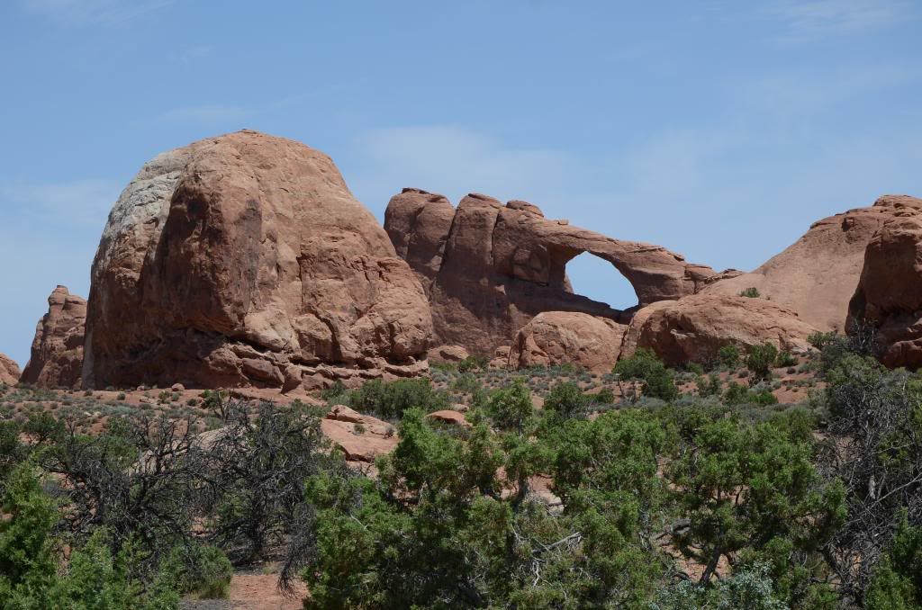 DSC_0863.jpg
