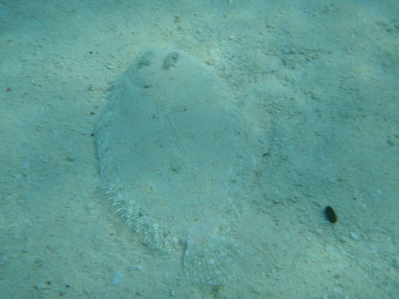 P8121775.jpg