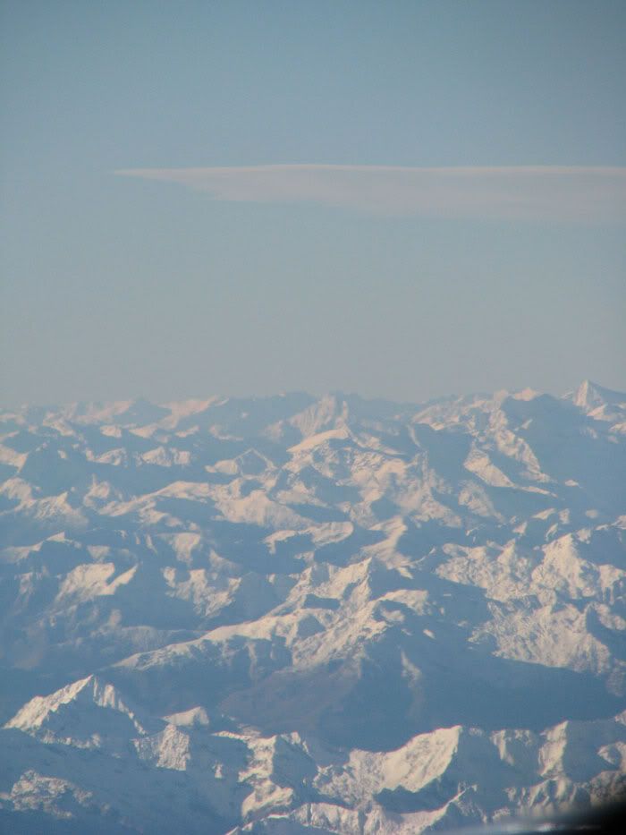IMG_8917.jpg