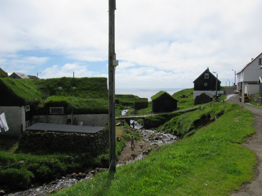 IMG_1124.jpg