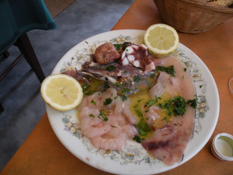 DSCN8256.jpg