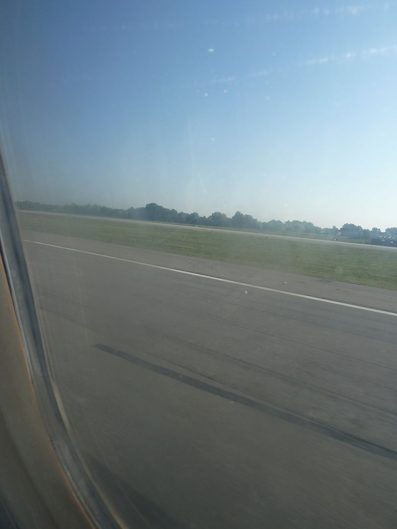 P1030771.jpg