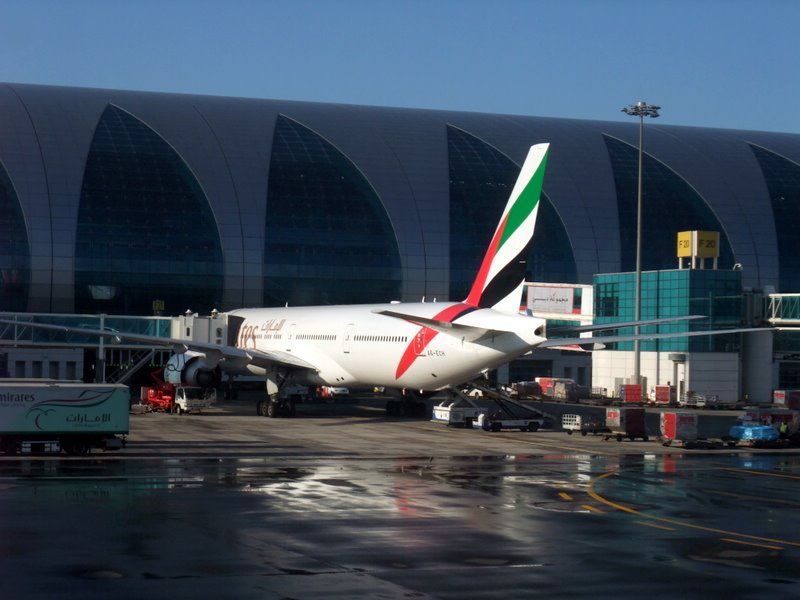 DSCF8729.jpg