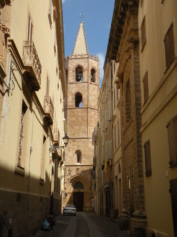 DSCN8309.jpg