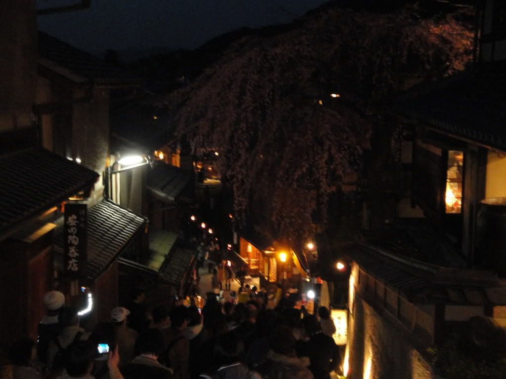 DSC01637.jpg