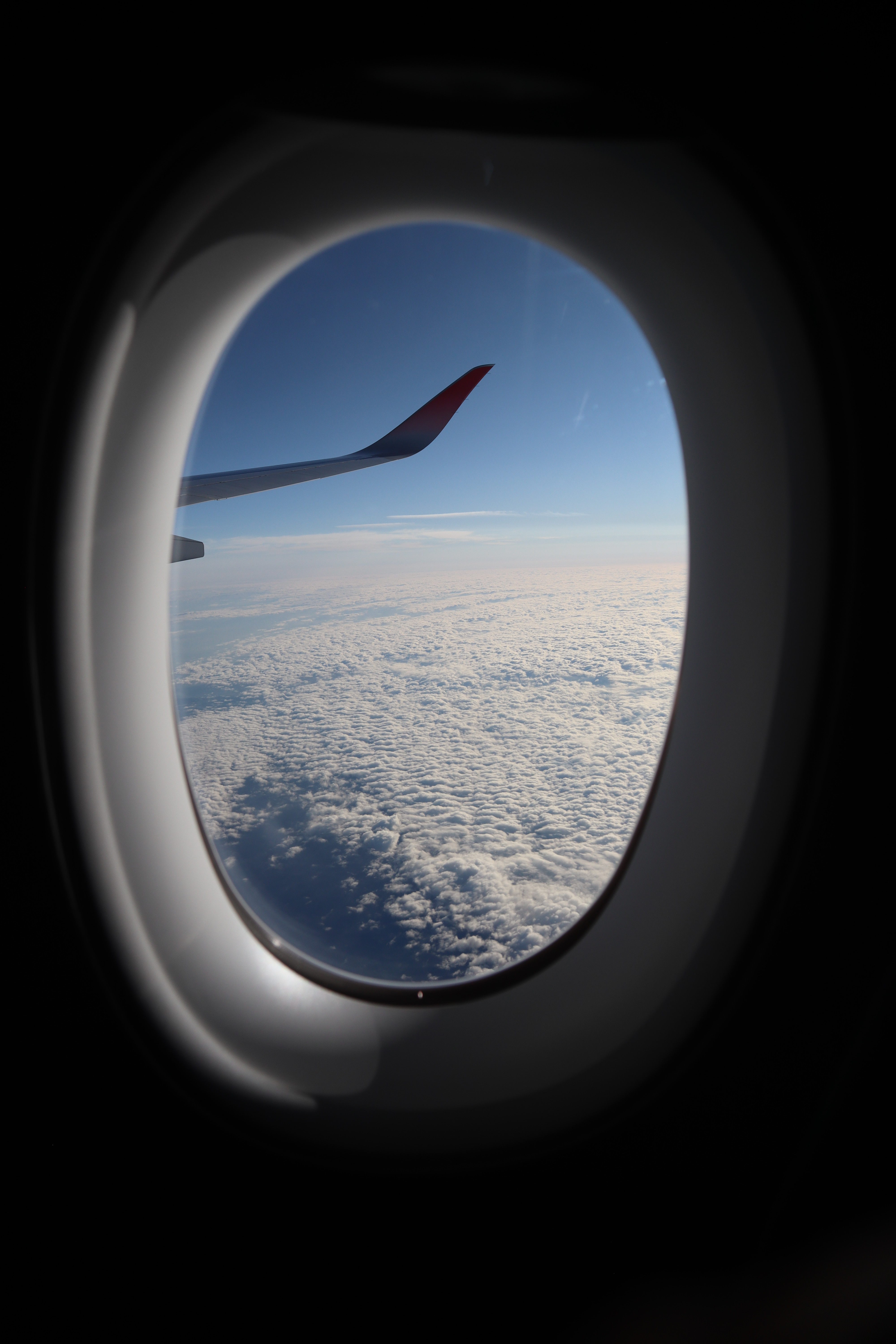49527494952_6025ab7045_6k.jpg