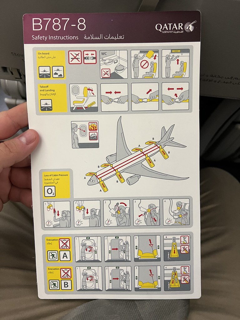 51929543328_56e11b741e_b.jpg