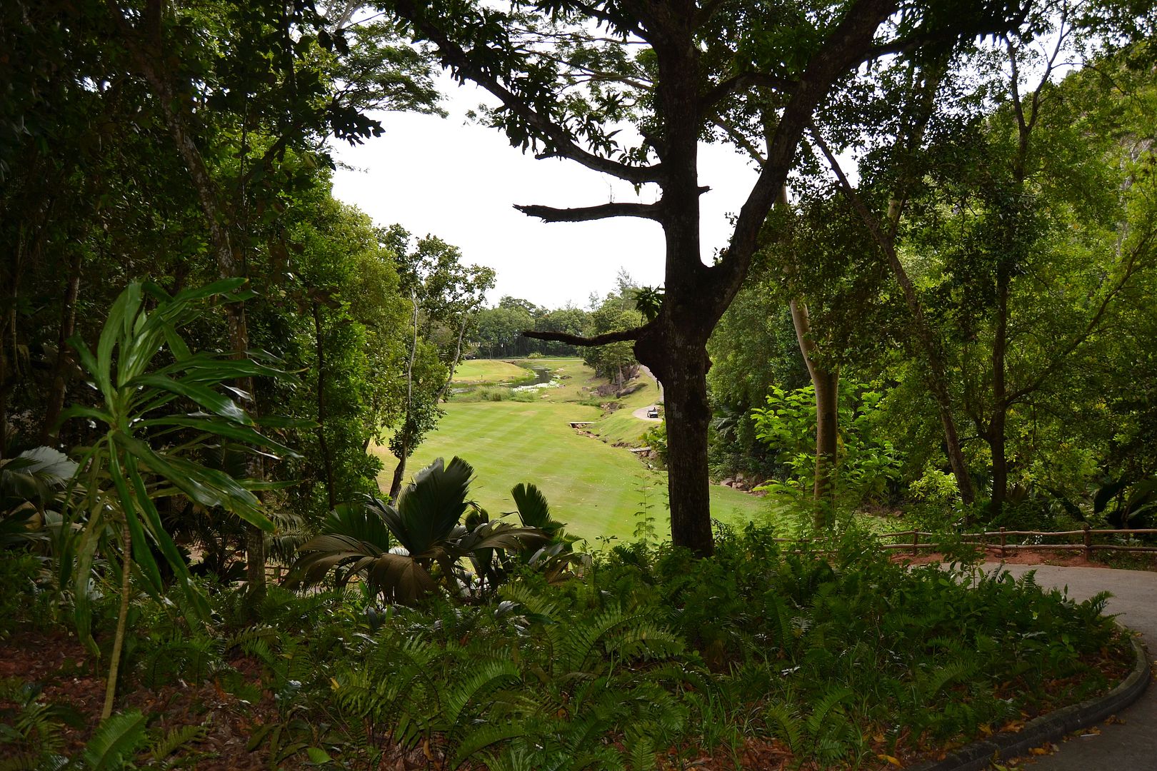 DSC_0553.jpg