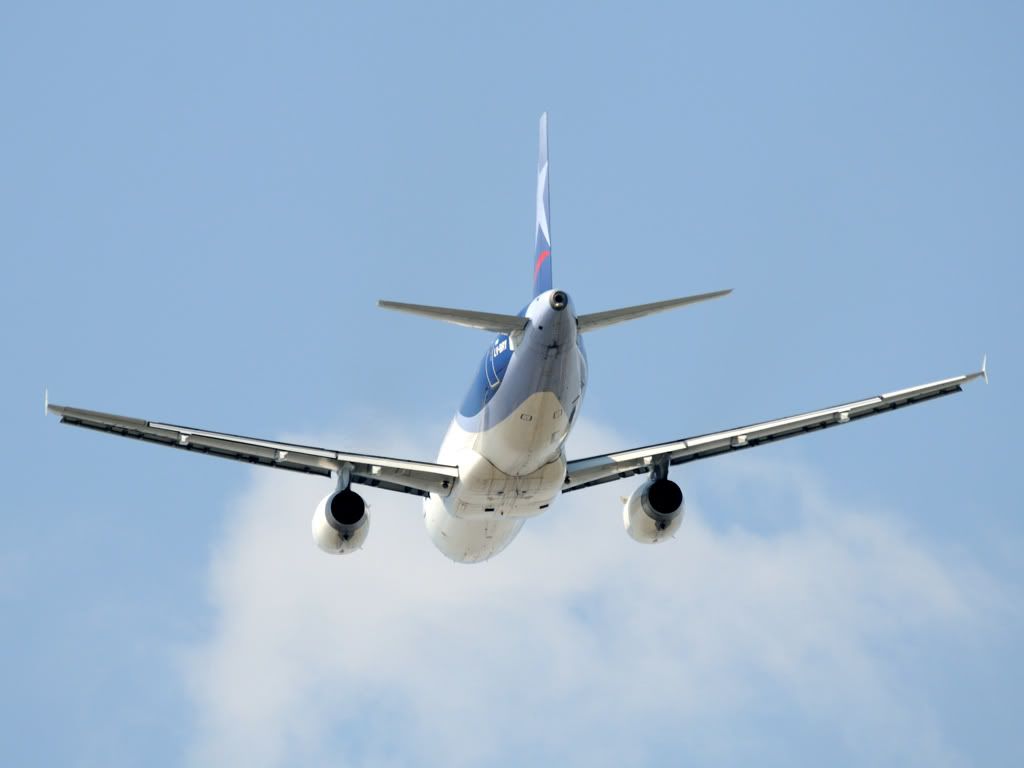 DSC_1455.jpg
