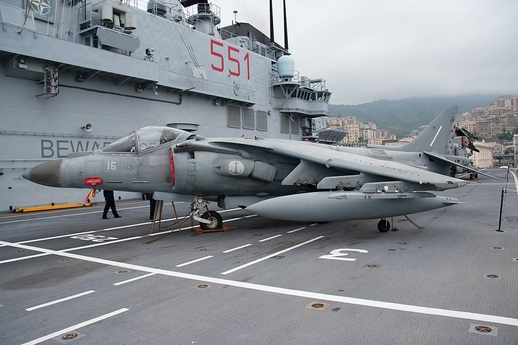 harrier1161.jpg