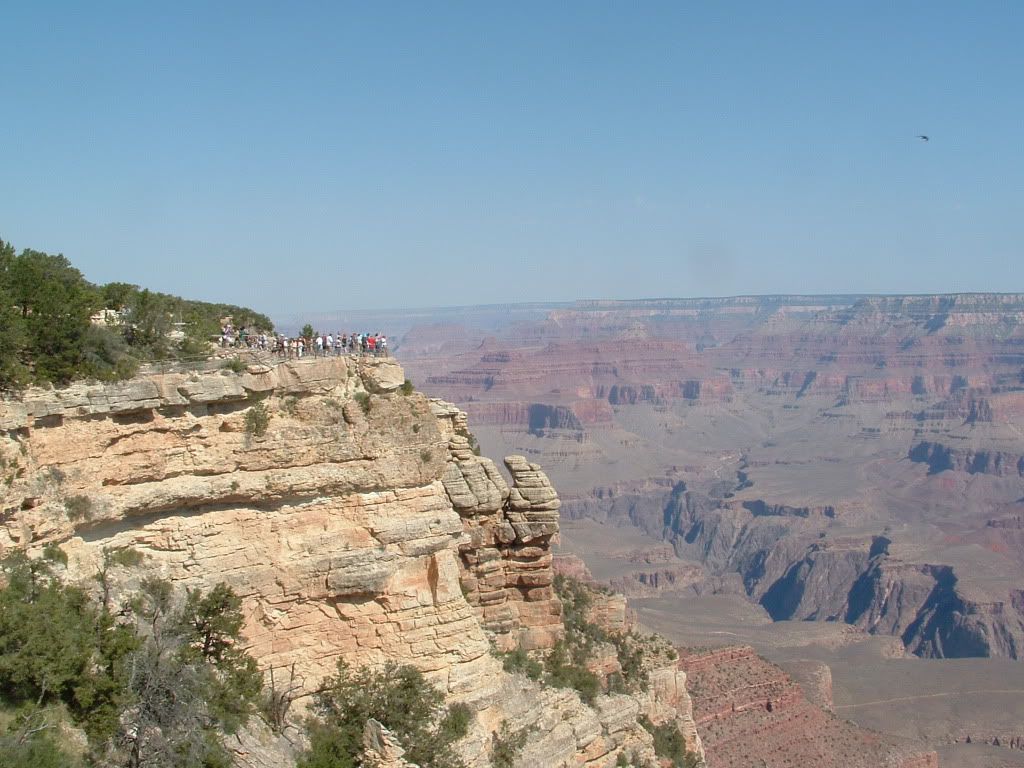 DSCF0566.jpg