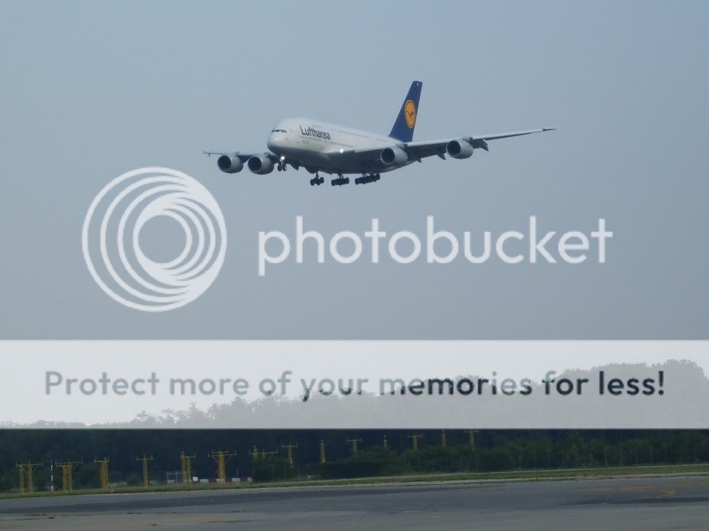 S8300014-1.jpg