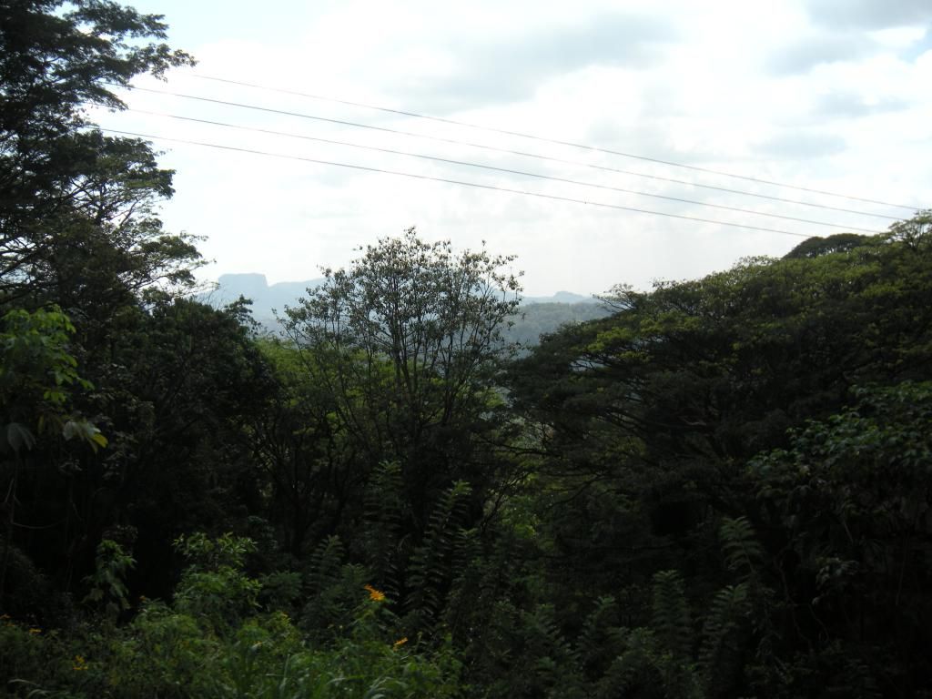 DSCN1969_zps804b287a.jpg