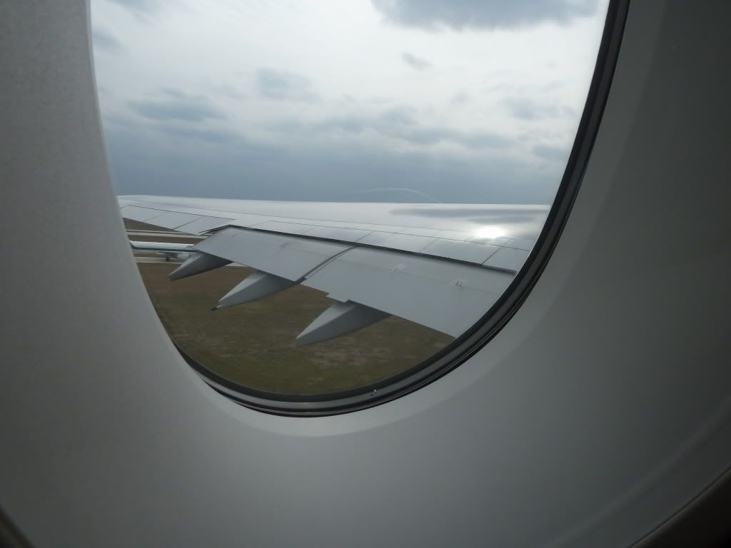 P1000297.jpg