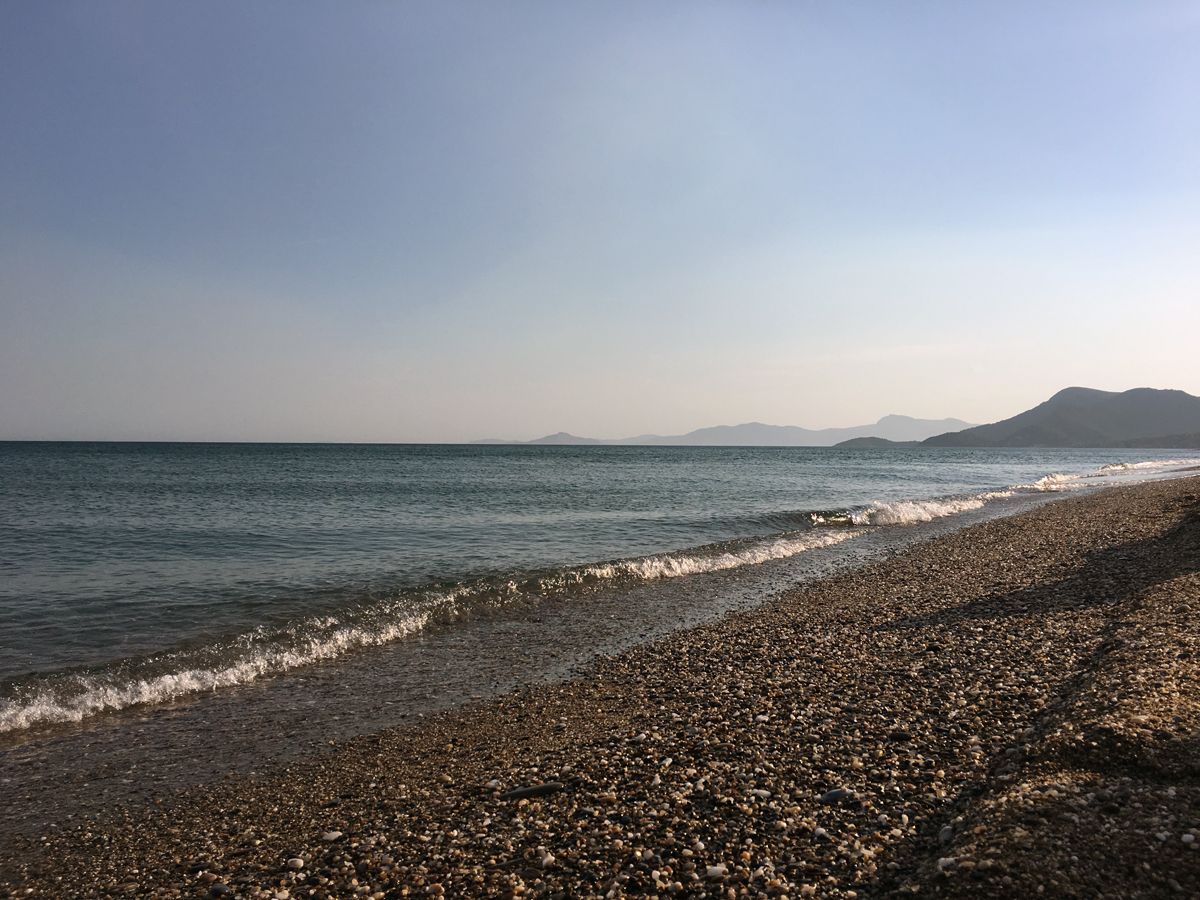 smi2019_0048.jpg