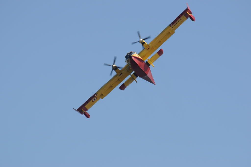 DSC_0310.jpg