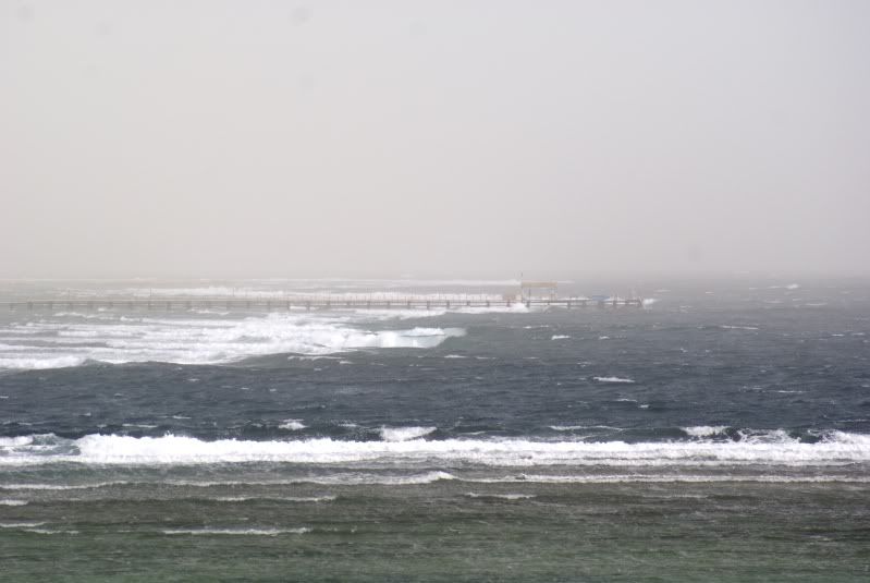 DSC00365.jpg