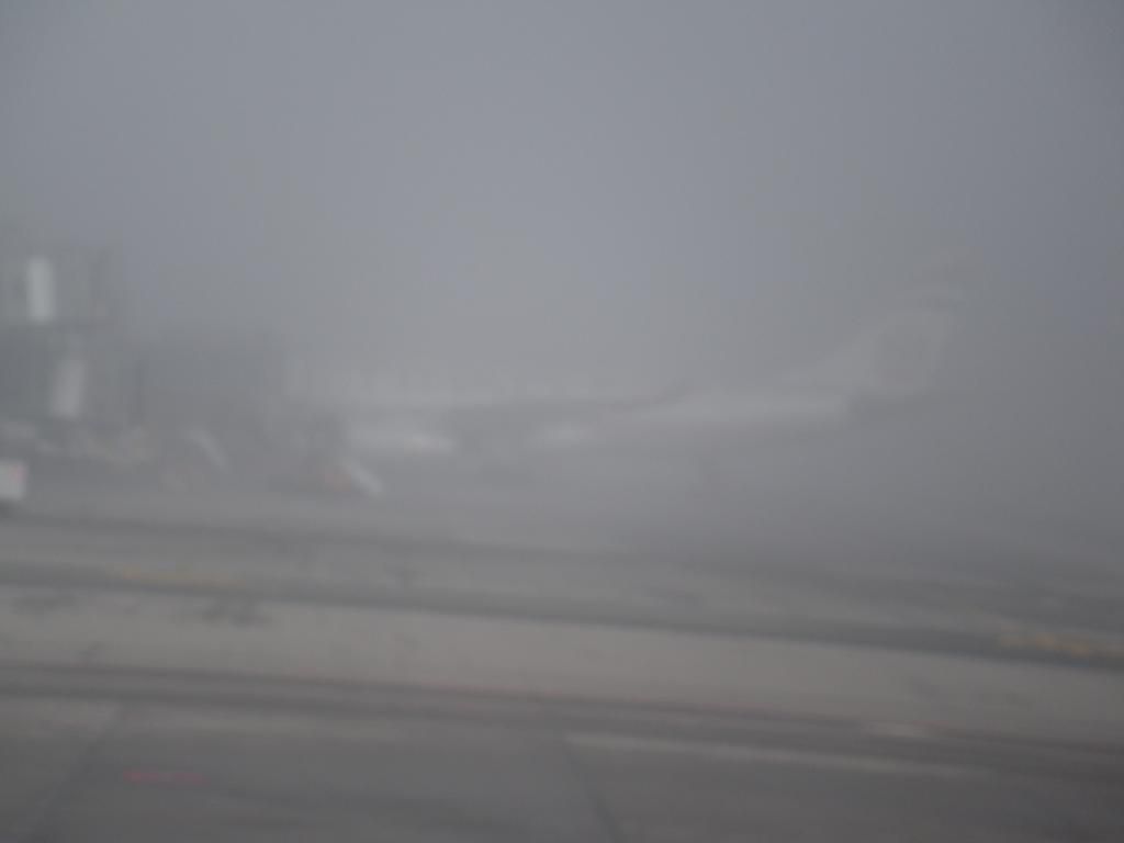 DSCN1773_zps483ead4d.jpg