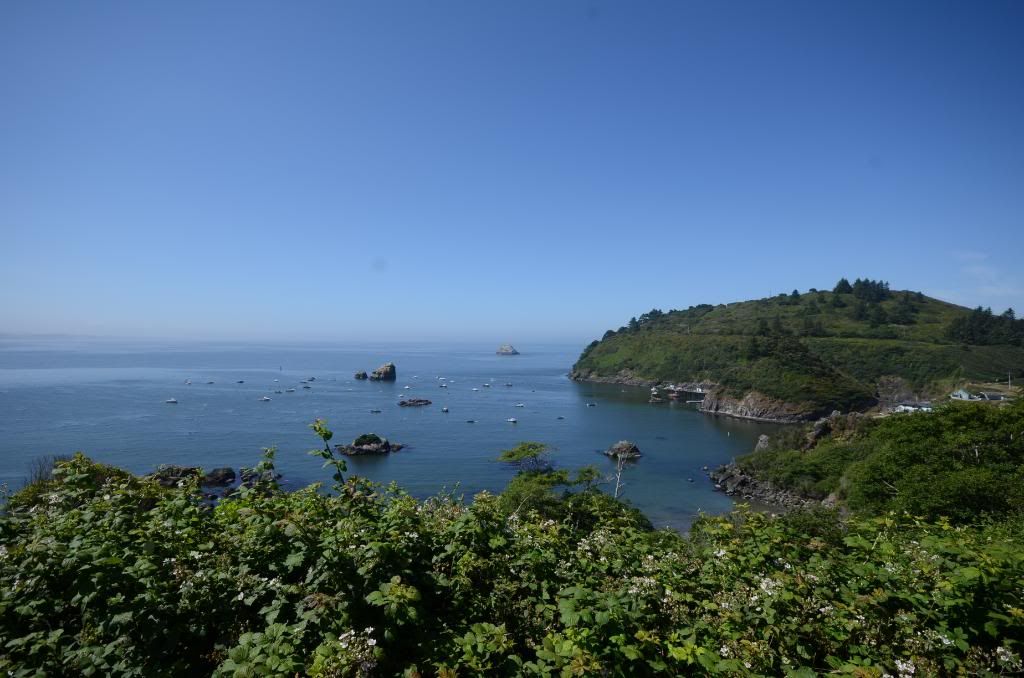 DSC_1513.jpg
