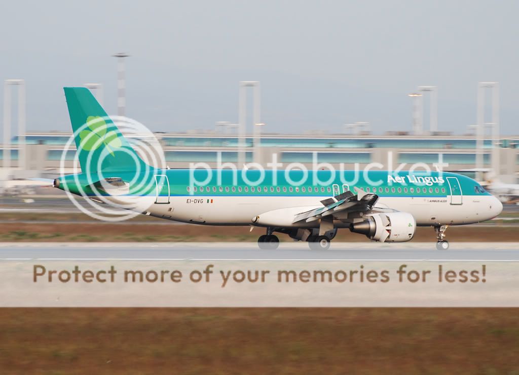 EI-DVG.jpg