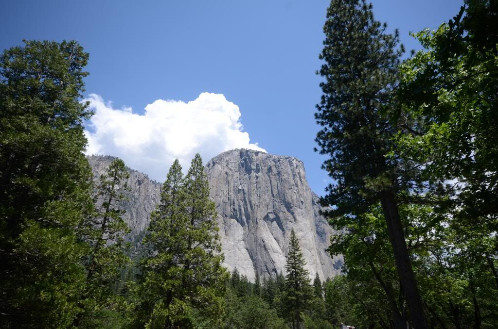 DSC_1280.jpg