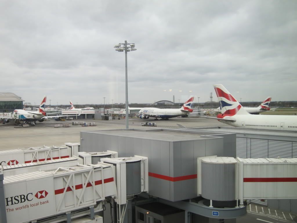 IMG_7536.jpg