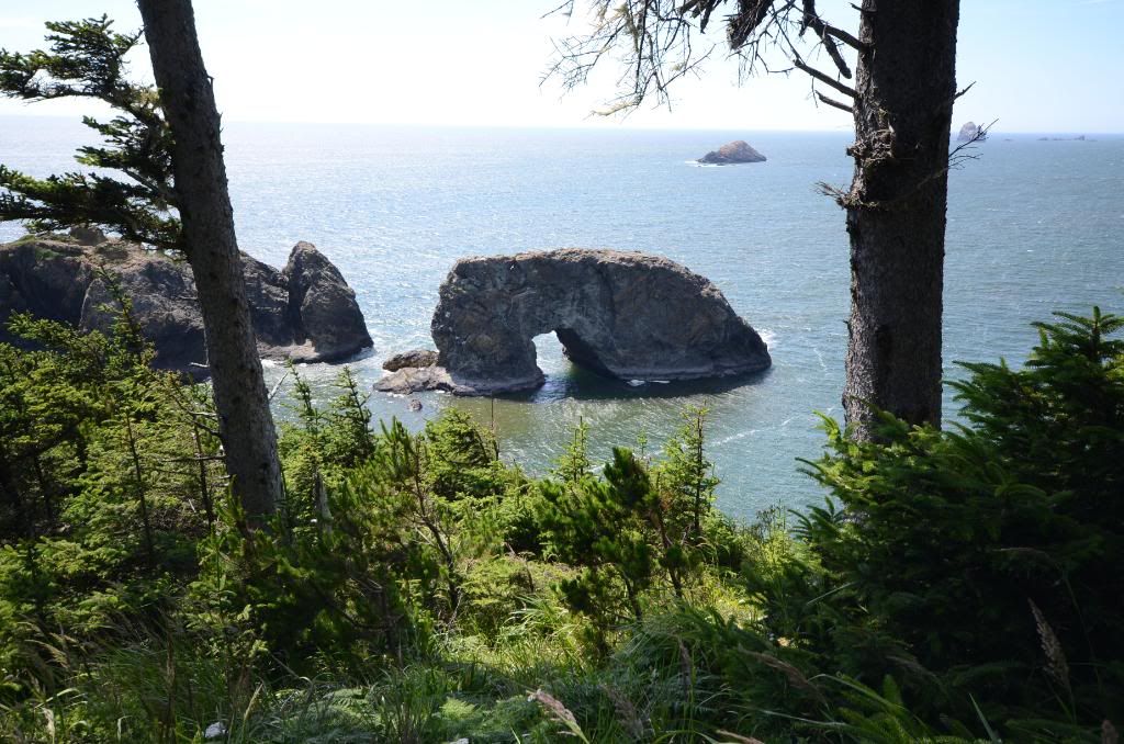 DSC_1548.jpg