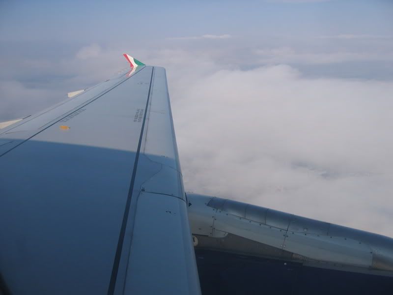fin018.jpg