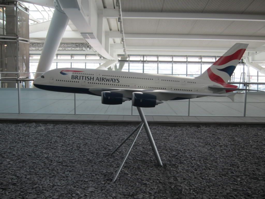 IMG_7421.jpg