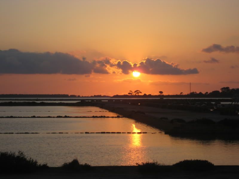 IMG_3389.jpg