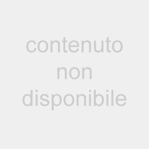 131938052-5fb229f8-420b-43c2-808b-23531e16069a.jpg